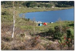 post-6541-0-06033500-1390667785_thumb.jp