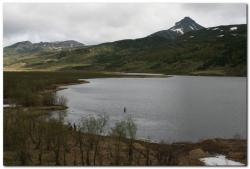 post-6541-0-06578000-1390666819_thumb.jp