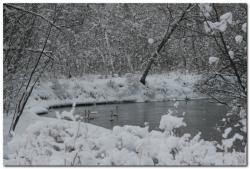 post-6541-0-15591000-1389981884_thumb.jp