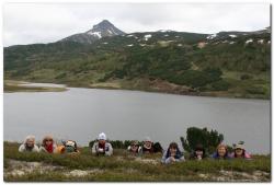 post-6541-0-19155500-1390668195_thumb.jp