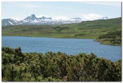 post-6541-0-19776700-1390332936_thumb.jp