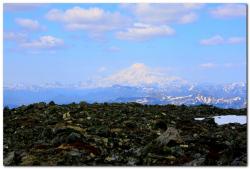 post-6541-0-22205800-1390668167_thumb.jp