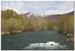 post-6541-0-25756400-1390666618_thumb.jp