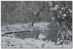 post-6541-0-25892500-1389981914_thumb.jp