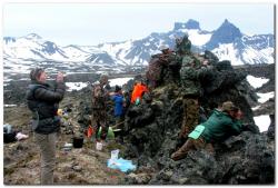 post-6541-0-31447700-1390329808_thumb.jp