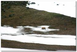 post-6541-0-34113600-1390329836_thumb.jp