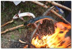 post-6541-0-43523600-1390667698_thumb.jp