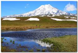 post-6541-0-44222600-1390329678_thumb.jp