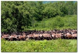 post-6541-0-45902500-1390332868_thumb.jp