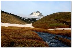 post-6541-0-51673100-1390329909_thumb.jp