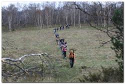 post-6541-0-56326100-1390667814_thumb.jp