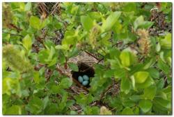 post-6541-0-59309900-1390332901_thumb.jp