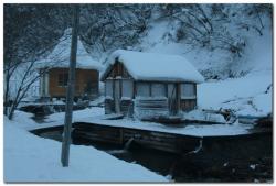 post-6541-0-61082300-1388939424_thumb.jp