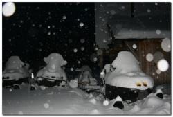 post-6541-0-63905600-1388939454_thumb.jp