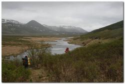 post-6541-0-90963700-1390666702_thumb.jp