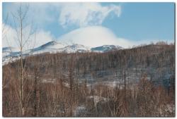 post-6541-0-97268400-1389982081_thumb.jp