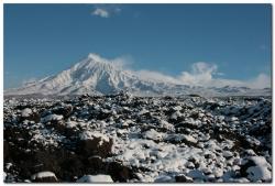 post-6541-0-97286400-1389982051_thumb.jp