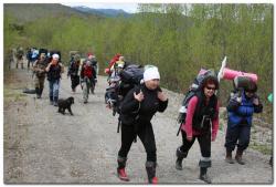 post-6541-0-97736100-1390666678_thumb.jp