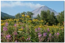 Фотография вулкана Кизимен на Камчатке