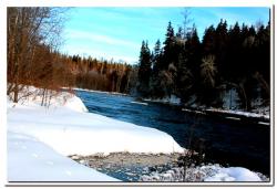 post-6541-0-15453600-1393162550_thumb.jp