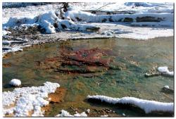 post-6541-0-18130800-1393354363_thumb.jp