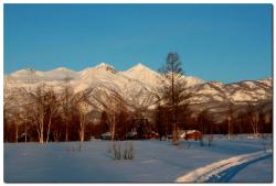 post-6541-0-18351600-1393162693_thumb.jp