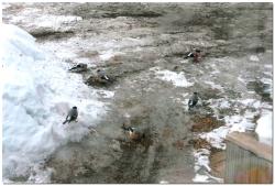 post-6541-0-19905400-1392516804_thumb.jp