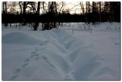 post-6541-0-32428300-1393354108_thumb.jp