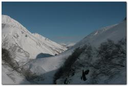 post-6541-0-40644300-1393354147_thumb.jp