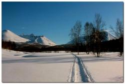 post-6541-0-43371800-1393353976_thumb.jp