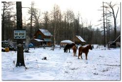 post-6541-0-53741200-1393162593_thumb.jp