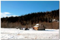 post-6541-0-91404900-1393354298_thumb.jp