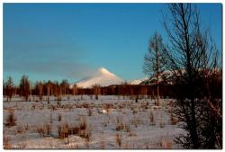 post-6541-0-98024200-1393162671_thumb.jp