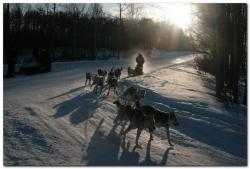 post-6541-0-07863700-1394437711_thumb.jp