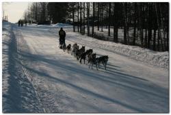 post-6541-0-63998500-1394437609_thumb.jp