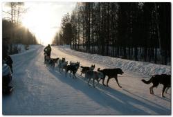 post-6541-0-66820800-1394437759_thumb.jp