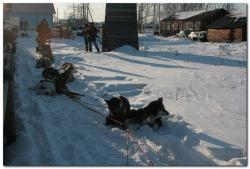 post-6541-0-68252500-1394488700_thumb.jp