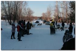 post-6541-0-89238400-1394488728_thumb.jp