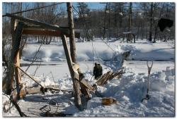 post-6541-0-04298300-1425323828_thumb.jp