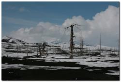 post-6541-0-08411100-1365004601_thumb.jp