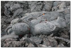 Извержение вулкана Толбачик на Камчатке