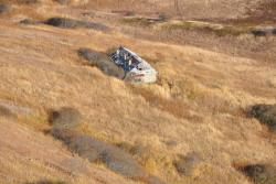 post-6731-0-68947400-1366867871_thumb.jp