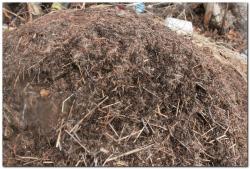 post-6541-0-73687300-1396369554_thumb.jp