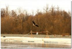 post-6541-0-83178200-1396504790_thumb.jp