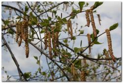 post-6541-0-04344400-1400902955_thumb.jp