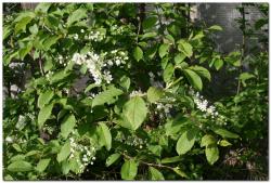 post-6541-0-22073800-1401337126_thumb.jp