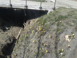 post-7417-0-21210600-1400057108_thumb.jp