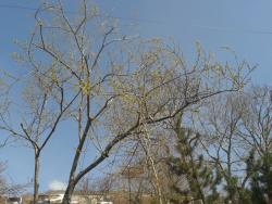 post-7417-0-35540800-1400056960_thumb.jp