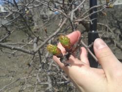 post-7417-0-43763400-1400056816_thumb.jp