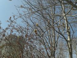 post-7417-0-52623500-1400057034_thumb.jp